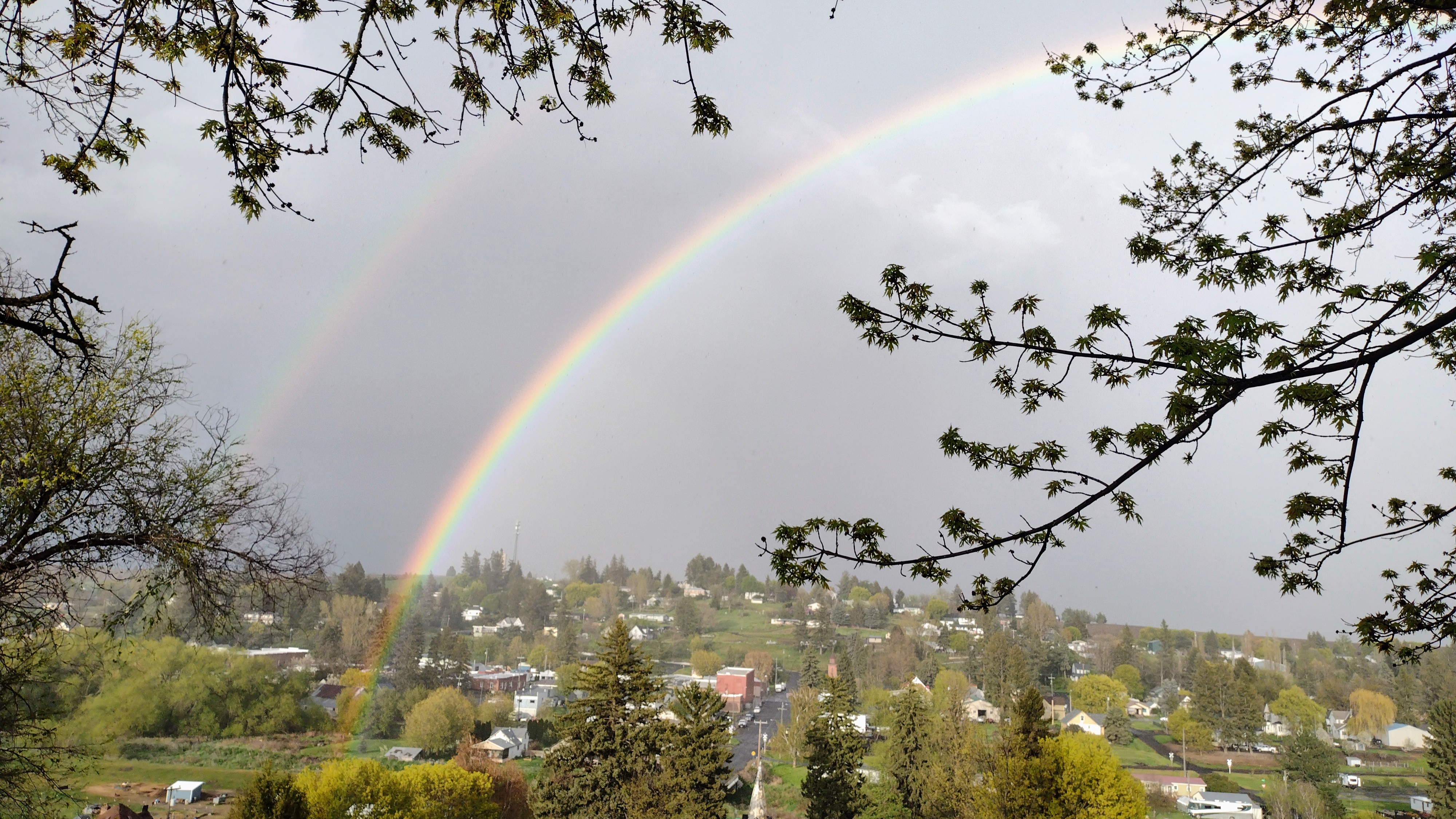 real photo of rainbow with town of Rosalia in background